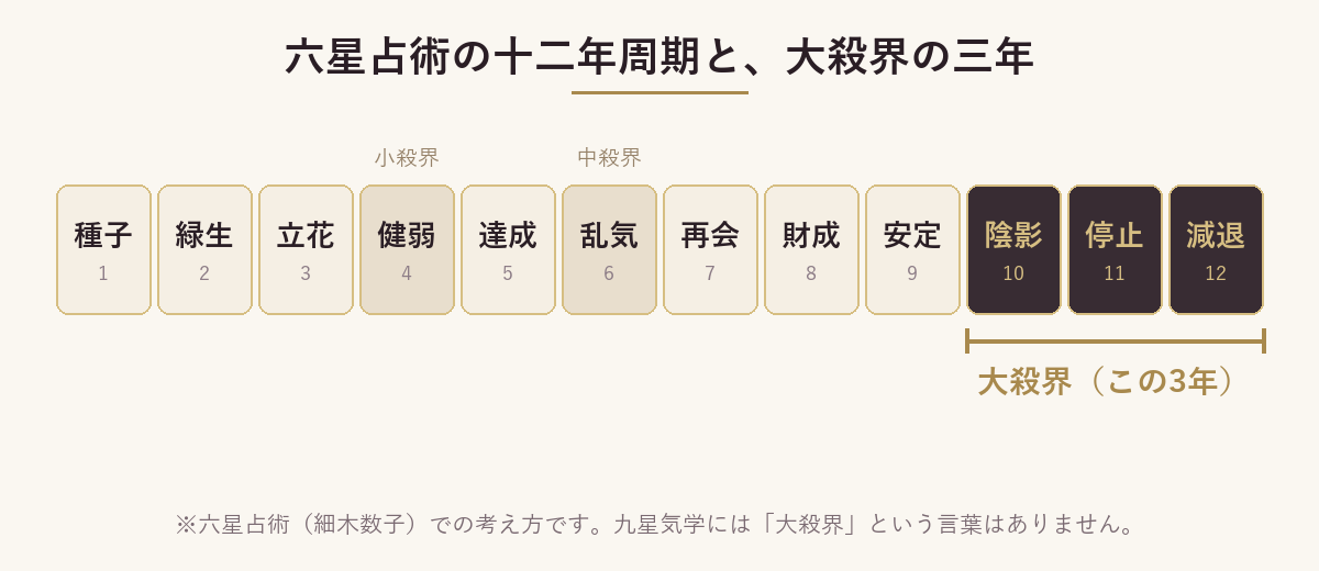 六星占術の十二年周期と大殺界の三年(陰影・停止・減退)を示した図